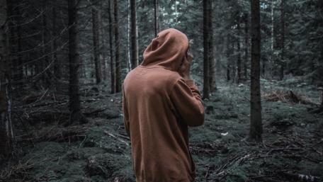 Mysterious Solitude in the Forest 4K wallpaper