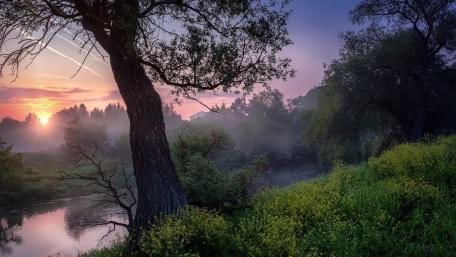 Istra River wallpaper