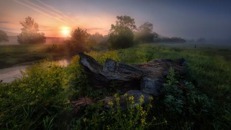Serene Spring Dawn by the Misty River wallpaper
