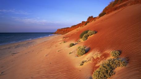 The Pinnacles Desert wallpaper