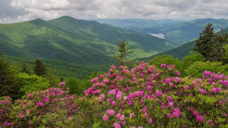 Blue Ridge Mountains wallpaper