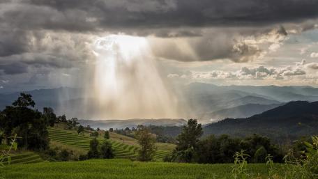 Breathtaking Terraced Fields Under Radiant Sunrays wallpaper