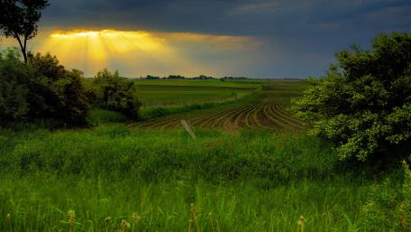 Serene Sunlight Over Agricultural Fields wallpaper