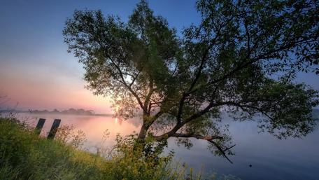 Serene Dusk by the Lake wallpaper