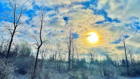 Sun Clouds Trees and Snow wallpaper
