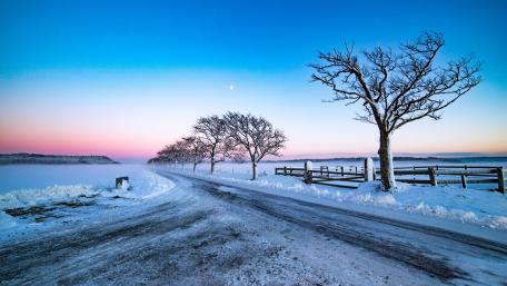 Winter Wonderland with Snowy Roads and Trees wallpaper