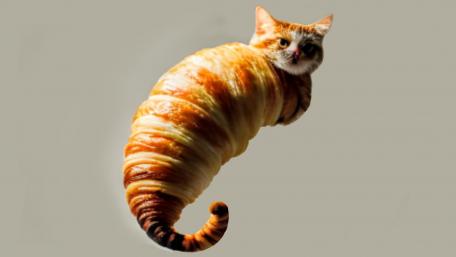 Crocat wallpaper
