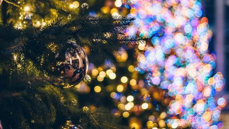 Festive Christmas Wonder wallpaper