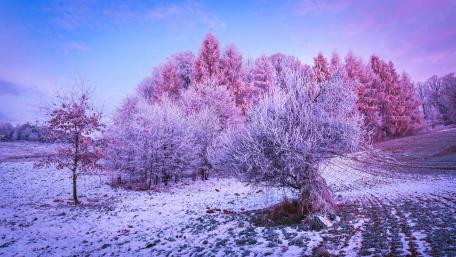 Frozen Serenity of Winter Landscape wallpaper