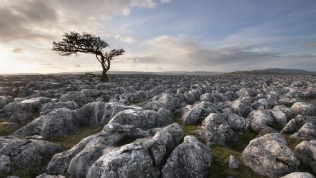 Rock field wallpaper