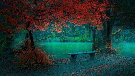 Autumn Serenity by the Lake wallpaper