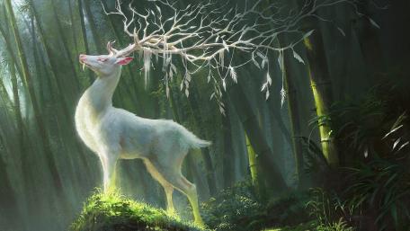 White deer wallpaper