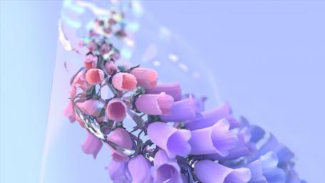Foxglove 3D digital art wallpaper