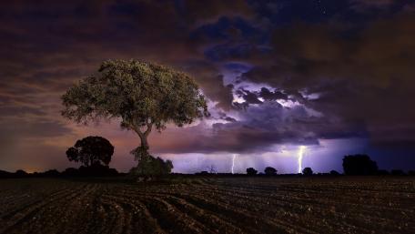 Electric Symphony in the Sky wallpaper