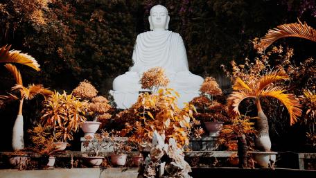 Serenity of the Buddha Amidst Nature's Embrace wallpaper