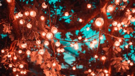 Twinkling Lights in Celebration wallpaper