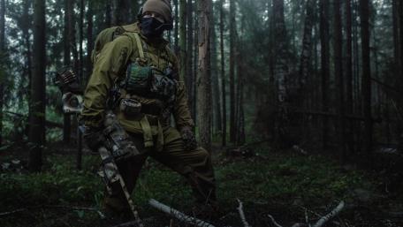 Silent Sentinel in the Misty Woods wallpaper