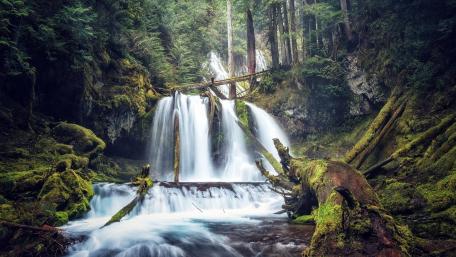 Serene Waterfall in Lush Green Forest wallpaper