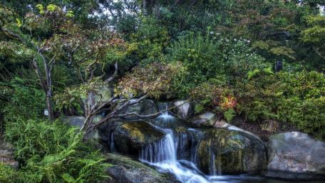 Serene Waterfall in a Lush Botanical Garden wallpaper