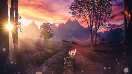 Enchanted Sunset in Lavender Wilds wallpaper