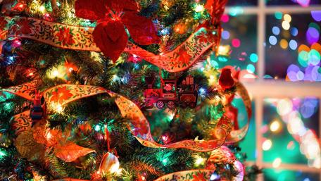 Festive Glow of Christmas Delight wallpaper