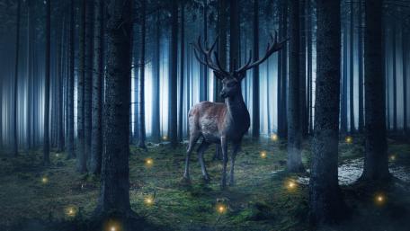 Enchanted Deer in a Magical Forest Scene wallpaper