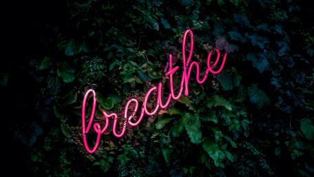 Neon Reminder in Nature's Embrace wallpaper