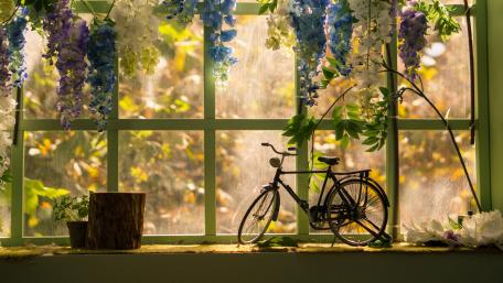 Blooming Bliss with a Bicycle in Spring Light wallpaper