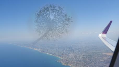 Dreamy Skies and Dandelion Dreams wallpaper
