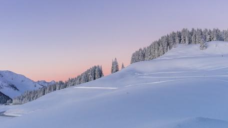Serene Winter Landscape with Snow-Covered Hillside wallpaper