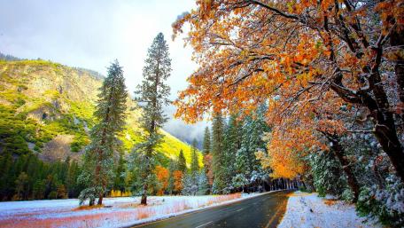 Autumn Road Through Winter Wonder wallpaper