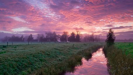 Serenity Awaits in Pink Dawn Sky wallpaper