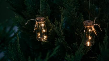 Enchanting Christmas Lights Hang on a Tree wallpaper