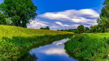 Serenity by the Summer River wallpaper