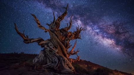 Majestic Solitude Under the Milky Way wallpaper