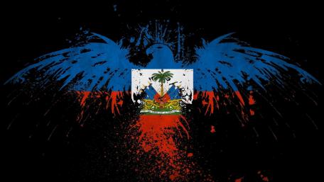 Haitian Flag with a Creative Twist wallpaper
