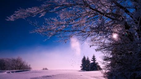 Winter Dusk Serenity wallpaper