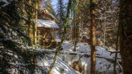 Winter Mill in Enchanted Forest wallpaper