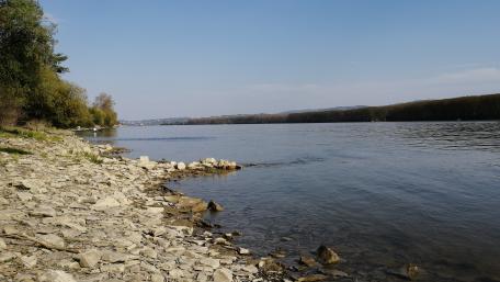 Danube near Novi Sad wallpaper