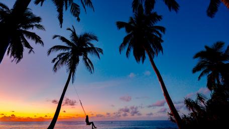 Tranquil Sunset by the Palms wallpaper