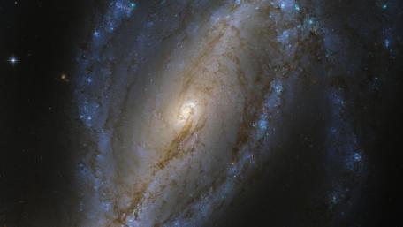 NGC 613 wallpaper