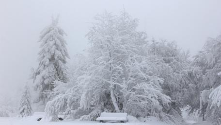 Frozen Serenity in a Winter Wonderland wallpaper