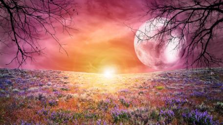 In front of a sparkling night wallpaper