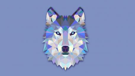 Polygonal wolf wallpaper