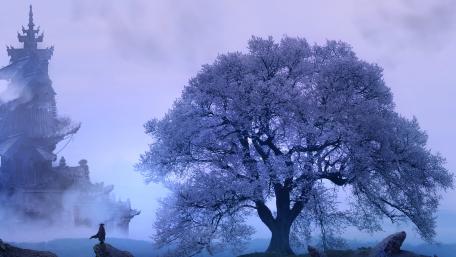 Samurai Under the Ethereal Cherry Blossom Tree wallpaper