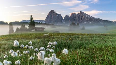 Misty Mountains of Seiser Alm in South Tyrol wallpaper