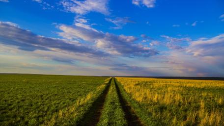 Endless Horizons of the Steppe wallpaper
