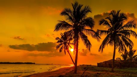 Tropical Sunset Serenity Over the Beach wallpaper