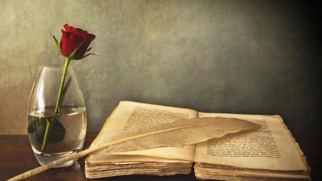 Red Rose and Quill by an Open Book wallpaper