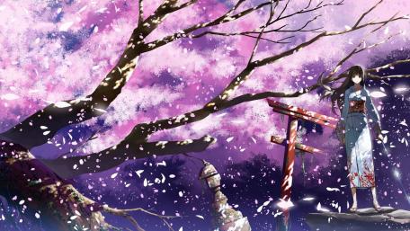 Serene Spring Blossoms in Anime Art wallpaper